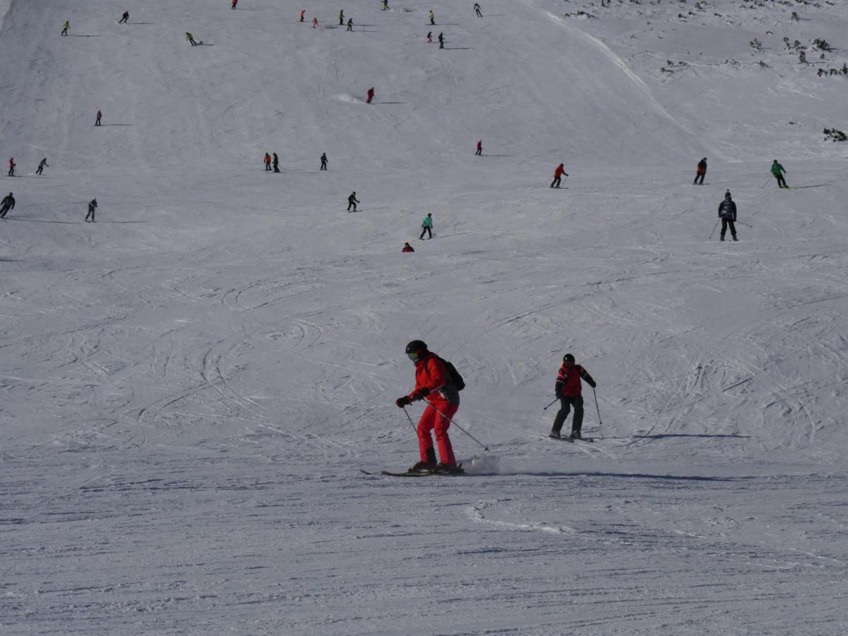 Altavista Mountain Apartment Samokov Buitenkant foto